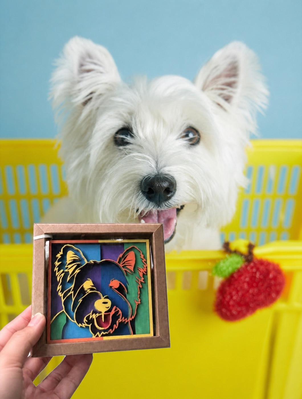 A westie peeking over a yellow shopping basket beside its carnival color portrait