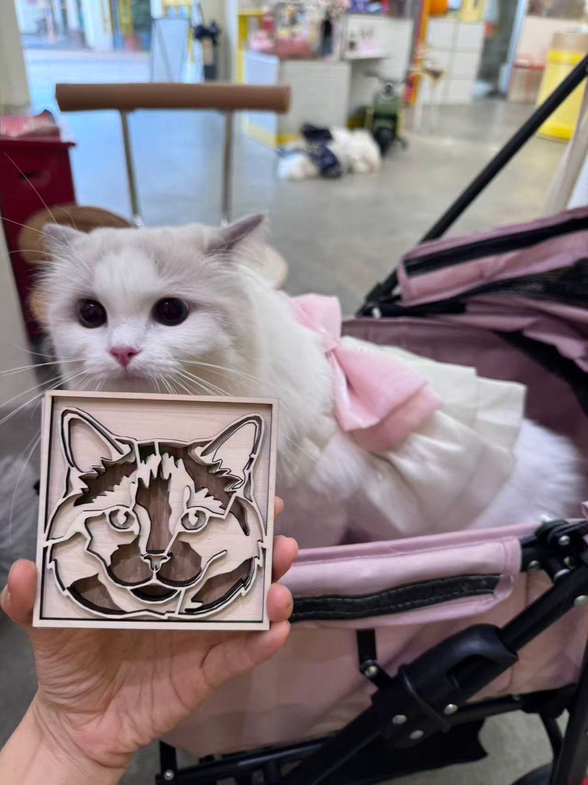 A cat in a pink stroller beside its natural wood portrait